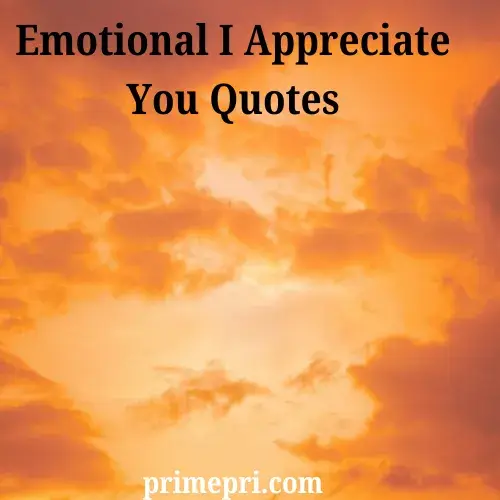 Emotional I Appreciate You Quotes