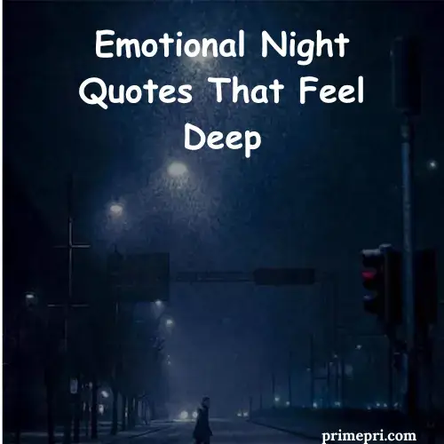 Night Quotes About Life
