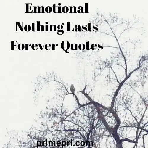 Emotional Nothing Lasts Forever Quotes