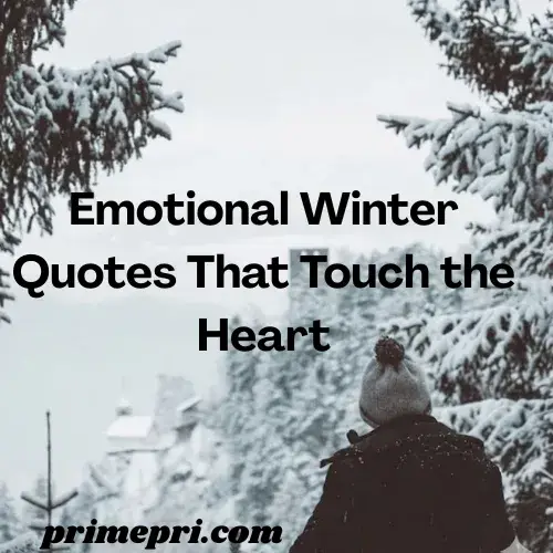 Emotional Winter Quotes That Touch the Heart