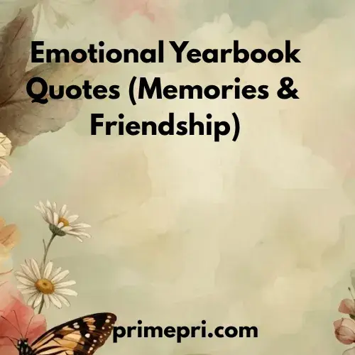 Emotional Yearbook Quotes (Memories & Friendship)