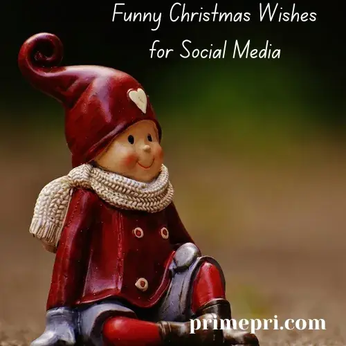 Funny Christmas Wishes for Social Media