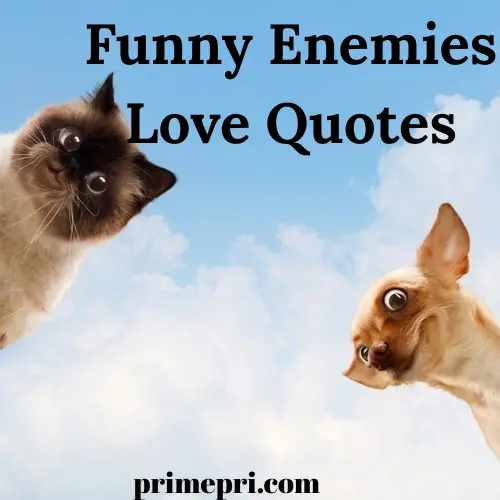 Funny Enemies Love Quotes