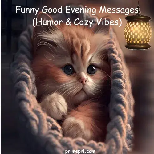 Funny Good Evening Messages (Humor & Cozy Vibes)