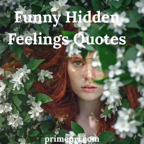 Funny Hidden Feelings Quotes