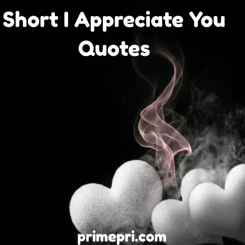 Funny I Appreciate You Quotes