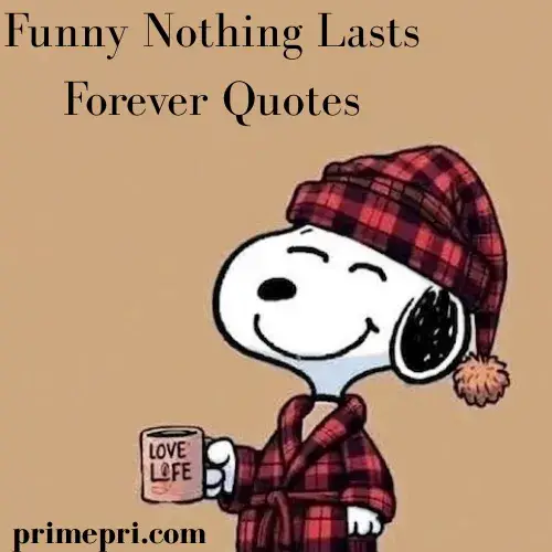 Funny Nothing Lasts Forever Quotes