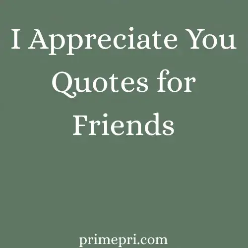 I Appreciate You Quotes for Friends