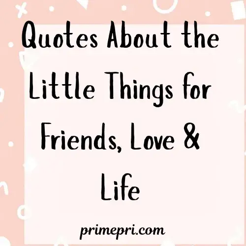 Quotes About the Little Things for Friends, Love & Life