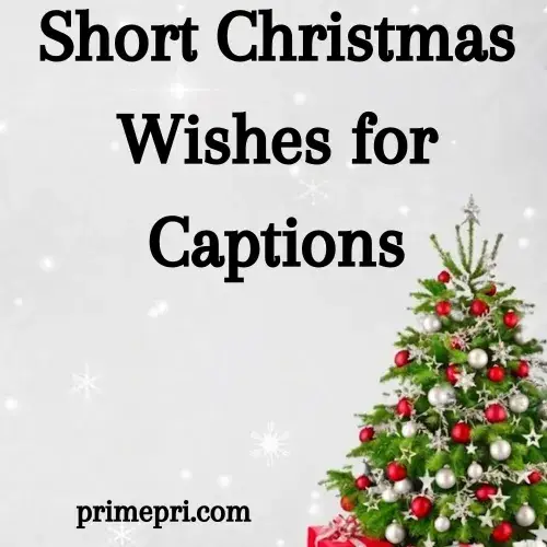 Short Christmas Wishes for Captions