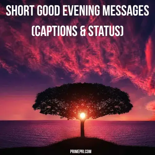 Short Good Evening Messages (Captions & Status)