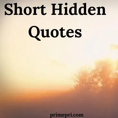 Short Hidden Quotes