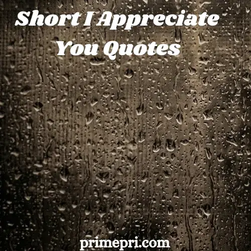 Short I Appreciate You Quotes