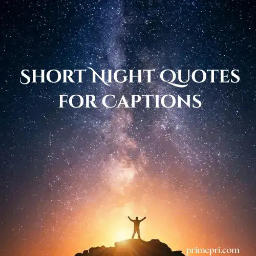 Short Night Quotes for Captions