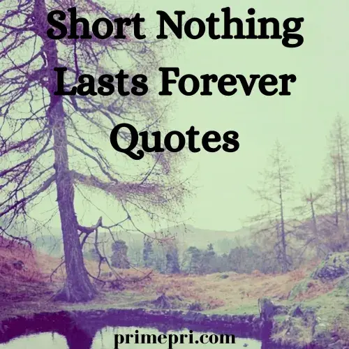 Short Nothing Lasts Forever Quotes