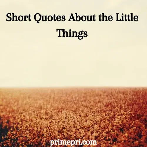 Short Quotes About the Little Things