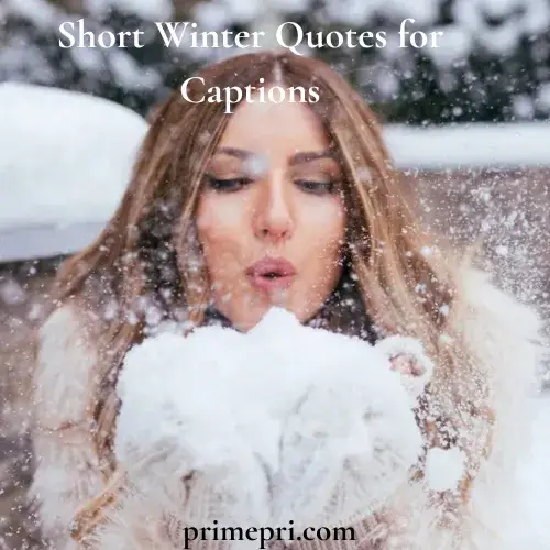 Short Winter Quotes for Captions