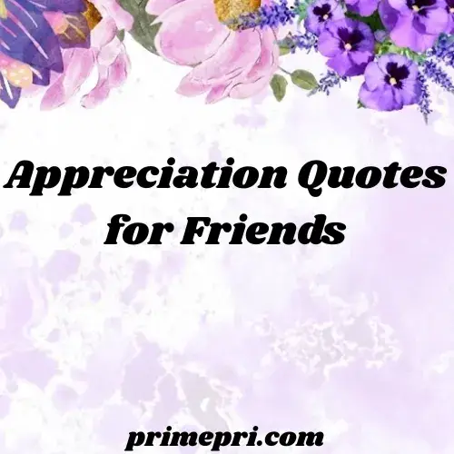 Appreciation Quotes for Friends