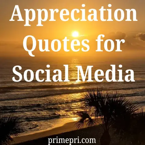 Appreciation Quotes for Social Media