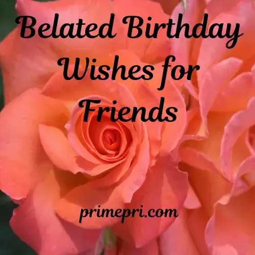 Belated Birthday Wishes for Friends