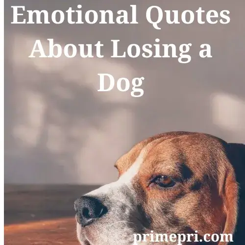 Emotional Quotes About Losing a Dog
