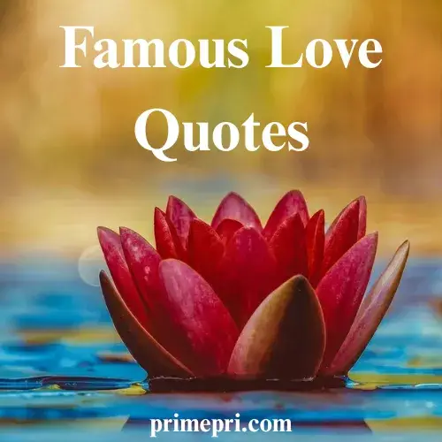 Famous Love Quotes