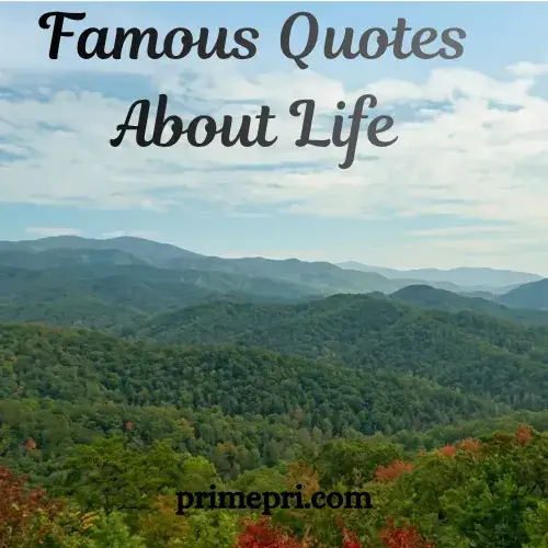 Famous Quotes About Life