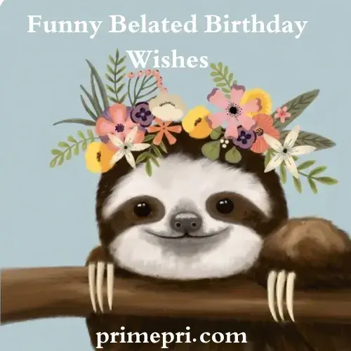 Funny Belated Birthday Wishes