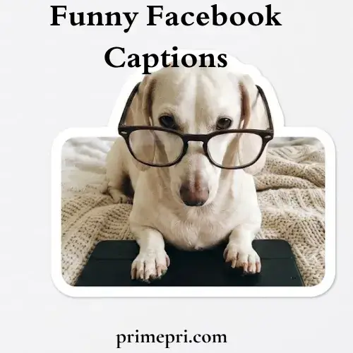 Funny Facebook Captions