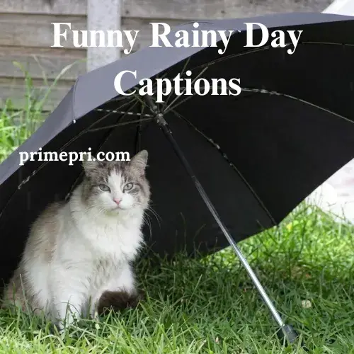 Funny Rainy Day Captions