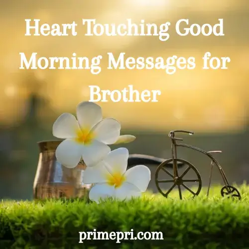Heart Touching Good Morning Messages for Brother