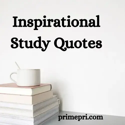 Inspirational Study Quotes