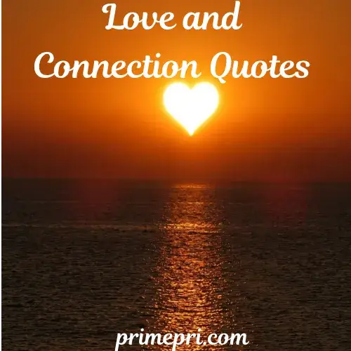 Love and Connection Quotes