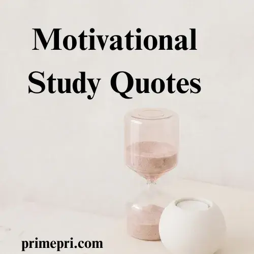 Motivational Study Quotes