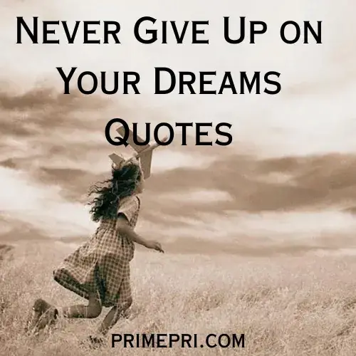 Never Give Up on Your Dreams Quotes