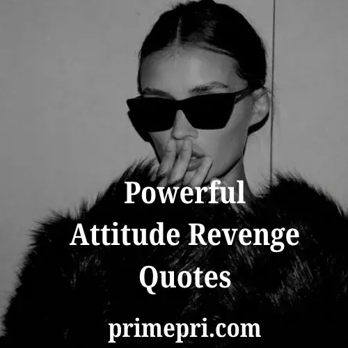 Powerful Attitude Revenge Quotes