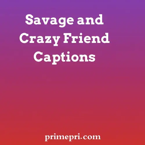 Savage and Crazy Friend Captions