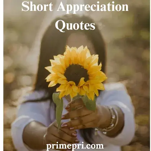 Short Appreciation Quotes