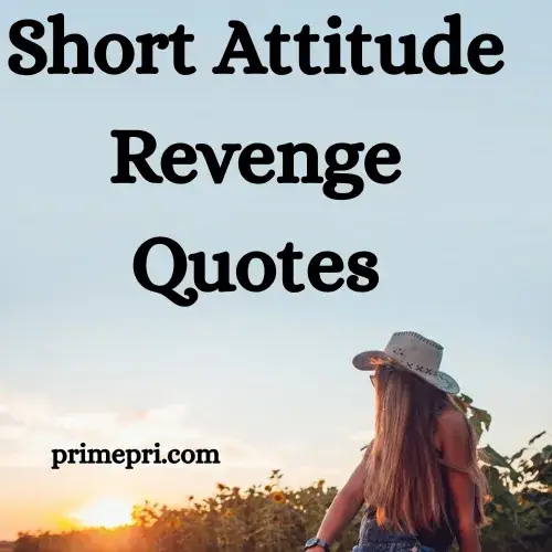 Short Attitude Revenge Quotes
