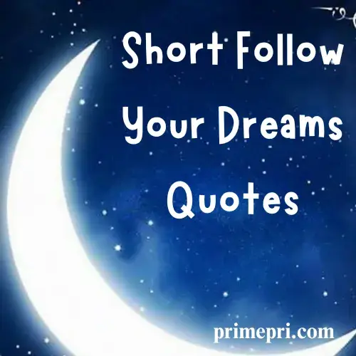Short Follow Your Dreams Quotes
