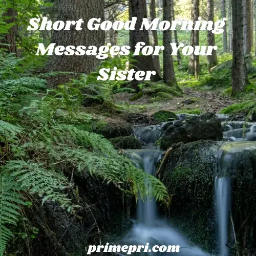 Short Good Morning Messages for Your Sister
