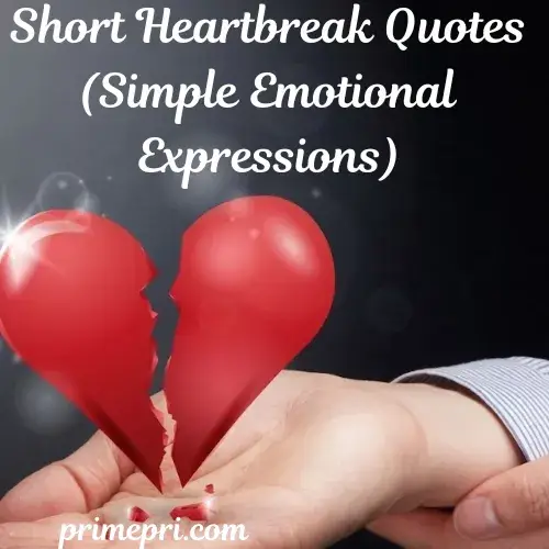 Short Heartbreak Quotes (Simple Emotional Expressions)