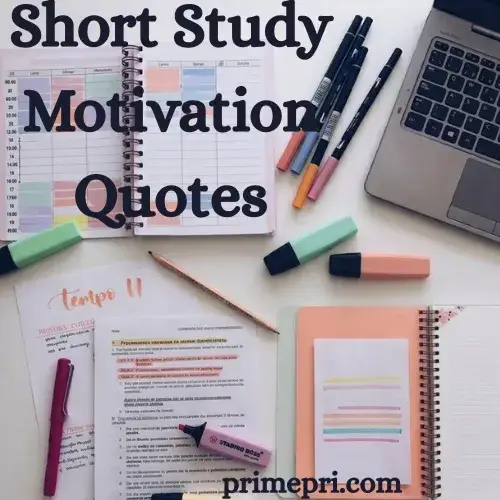Short Study Motivation Quotes