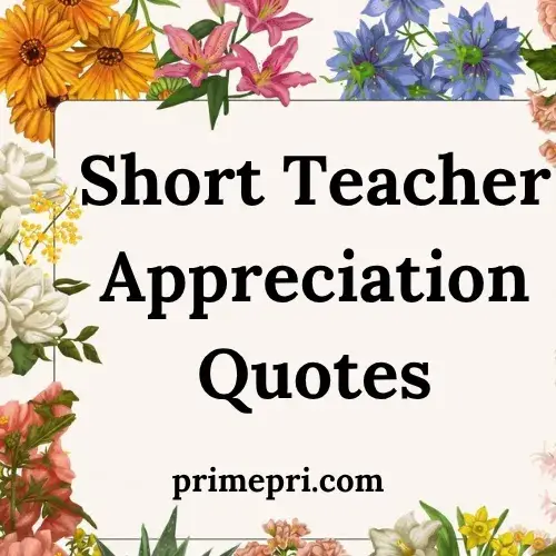 Short Teacher Appreciation Quotes