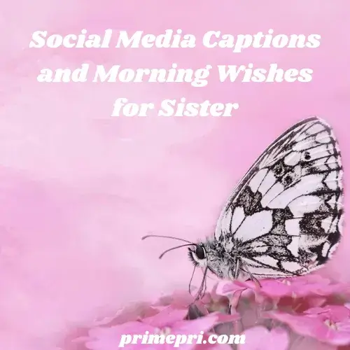 Social Media Captions and Morning Wishes for Sister