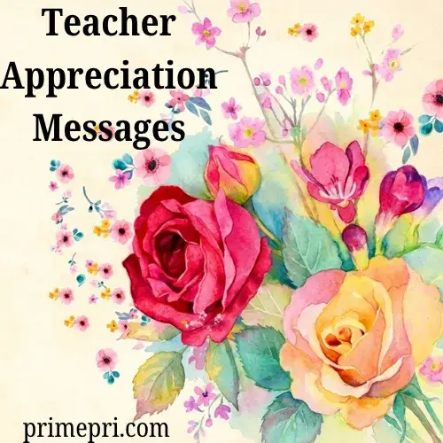 Teacher Appreciation Messages