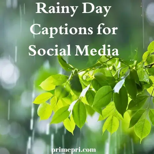 Rainy Day Captions for Social Media