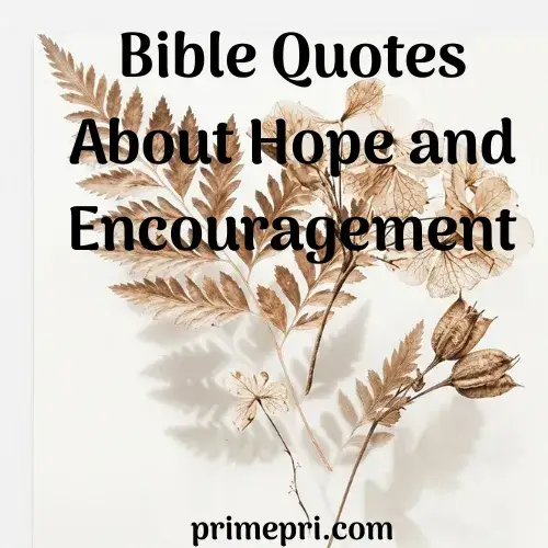Bible Quotes About Hope and Encouragement