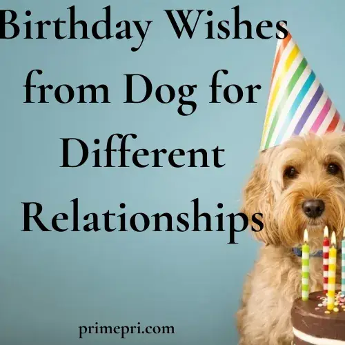 Birthday Wishes from Dog for Different Relationships