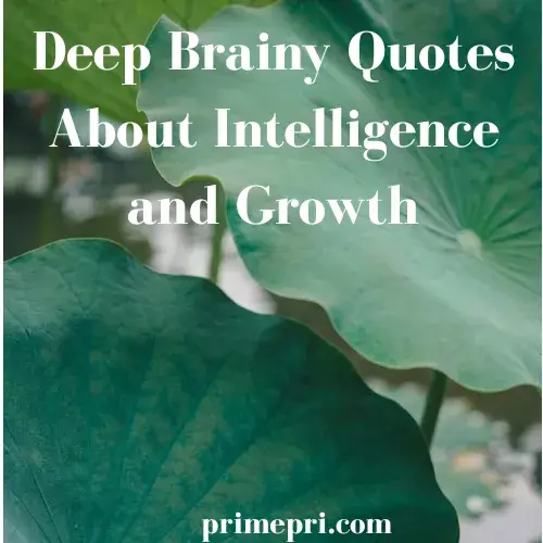 Deep Brainy Quotes About Intelligence and Growth